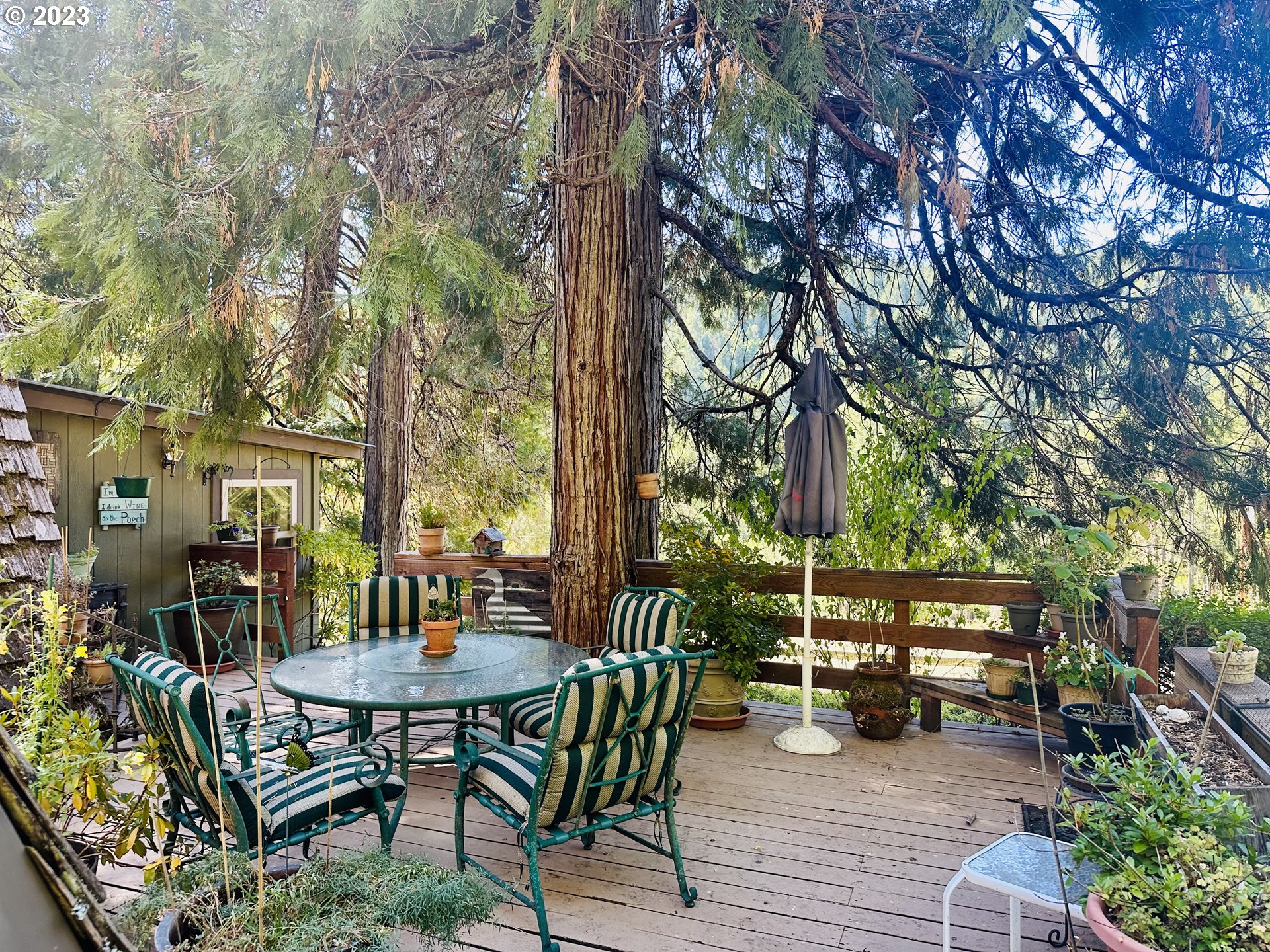 825 Hidden Homestead Road Myrtle Creek, OR 97457 - Photo 3 of 46 Gallery Image 3