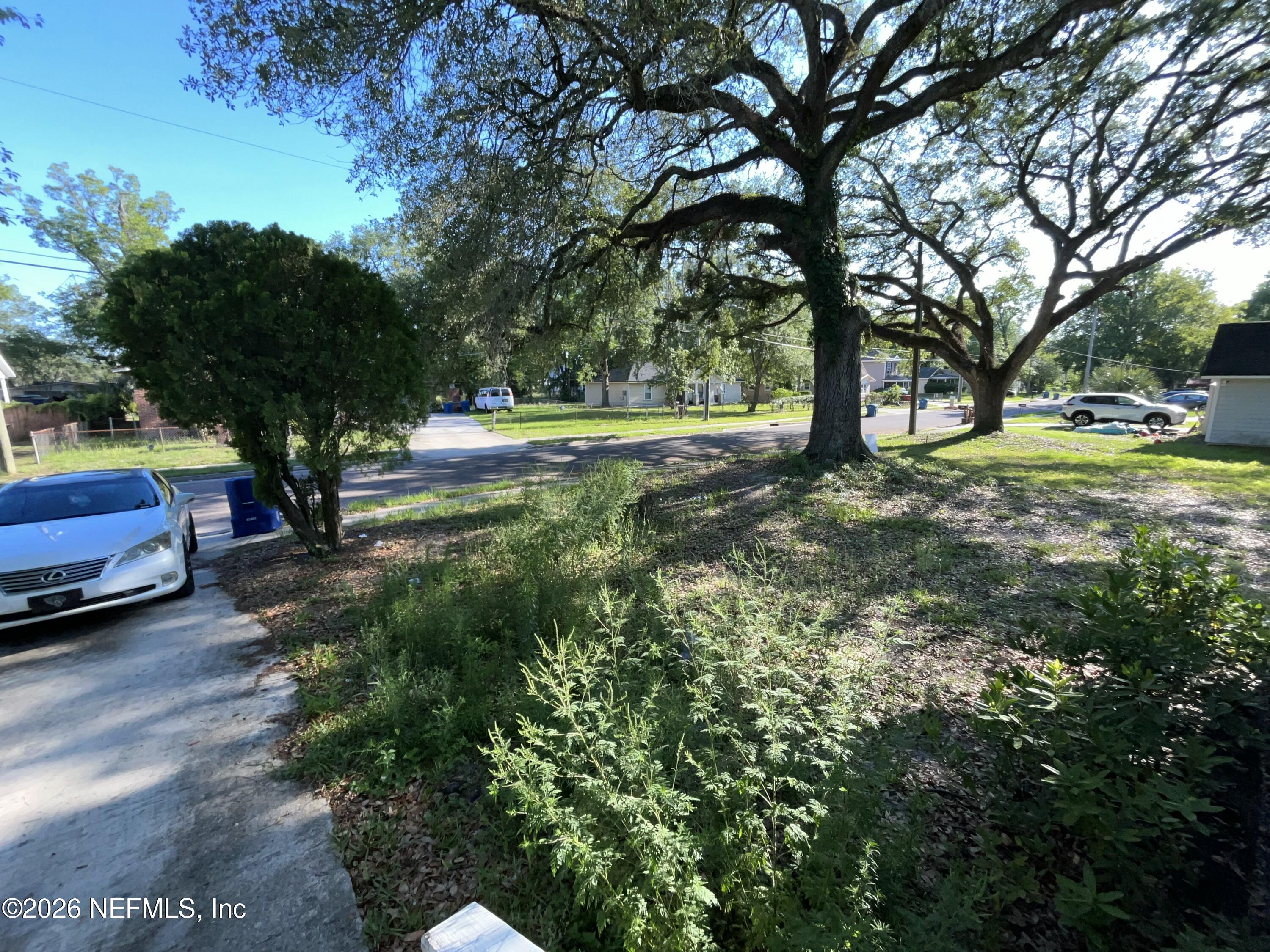 2017 Talladega Road Jacksonville, FL 32209 - Photo 8 of 34 a view of yard with tree s