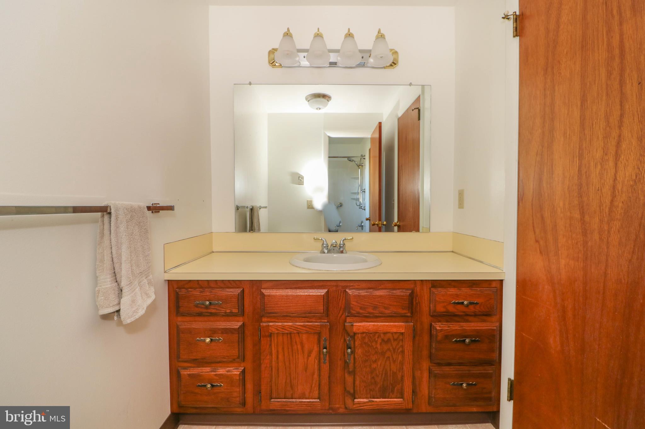 3309 Miller Road Pennsburg, PA 18073 - Photo 42 of 45 Roomy Wood Vanity