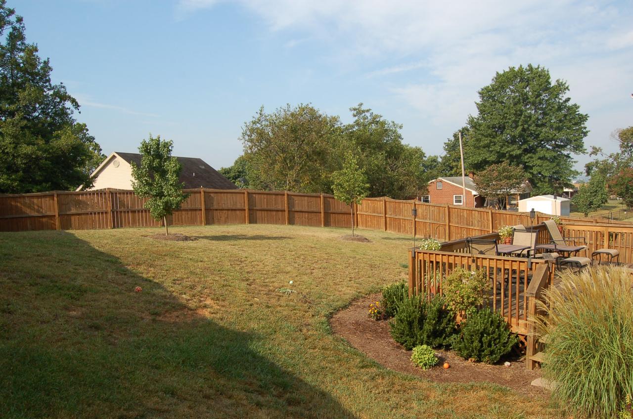 813 Ruddell Road Vinton, VA 24179 - Photo 5 of 6 Fenced Level Lot