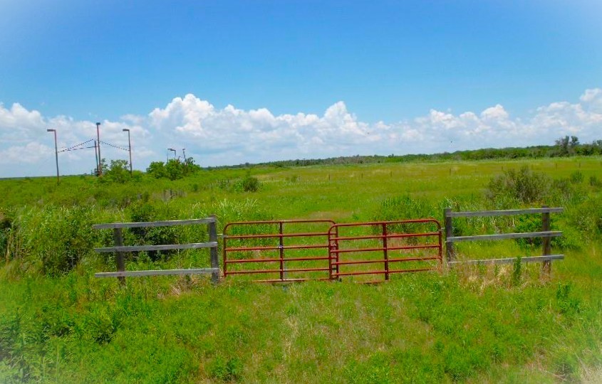 0 Fm 1985 Anahuac, TX 77514 - Photo 3 of 6 a view of a garden