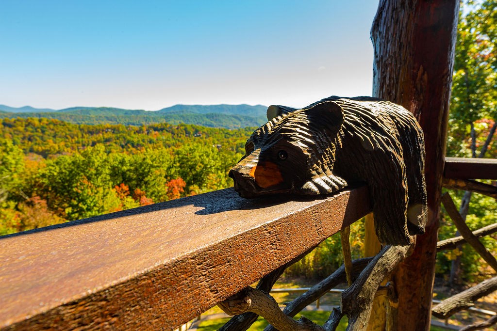 576 Century Blue Ridge Blue Ridge, GA 30513 - Photo 4 of 71 a view of balcony with furniture