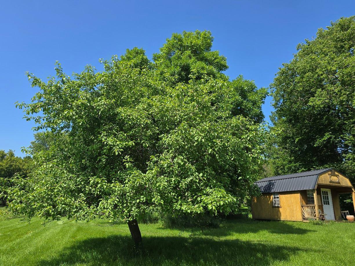 2047 60th Avenue Pipestone, MN 56164 - Photo 45 of 63