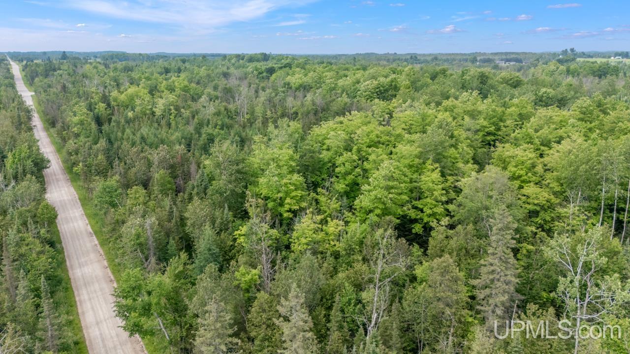 Tbd Tbd Delta Menominee C Road Bark River, MI 49807 - Photo 12 of 13