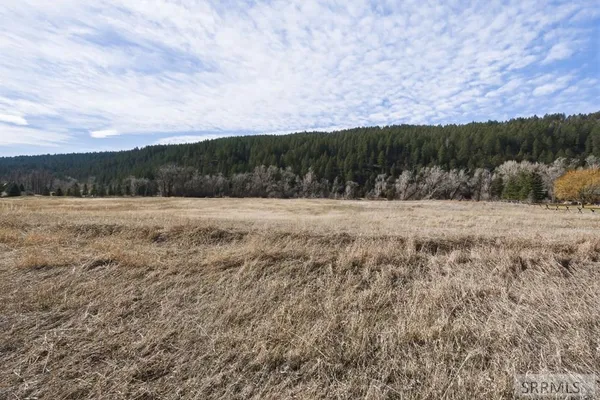 $955,000 | L32-b3 Raven Road, Irwin, ID 83428
