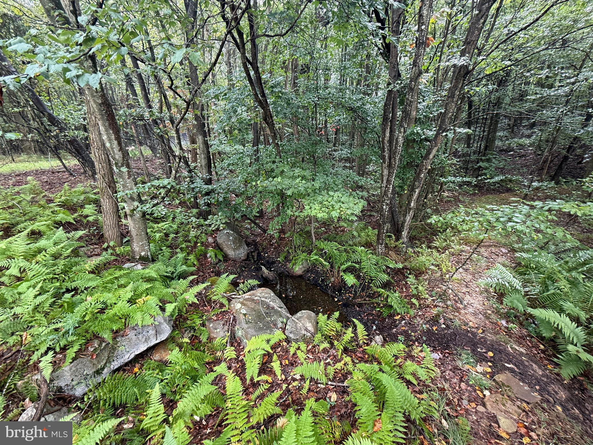 0 Pinnacle Road Keyser, WV 26726 - Photo 33 of 61