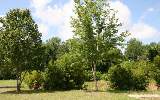 1508 Rainbow Acres Road Fernandina Beach, FL 32034 - Photo 3 of 10 Gallery Image 3