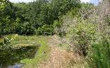 1508 Rainbow Acres Road Fernandina Beach, FL 32034 - Photo 7 of 10 Gallery Image 7