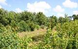 1508 Rainbow Acres Road Fernandina Beach, FL 32034 - Photo 10 of 10 Gallery Image 10