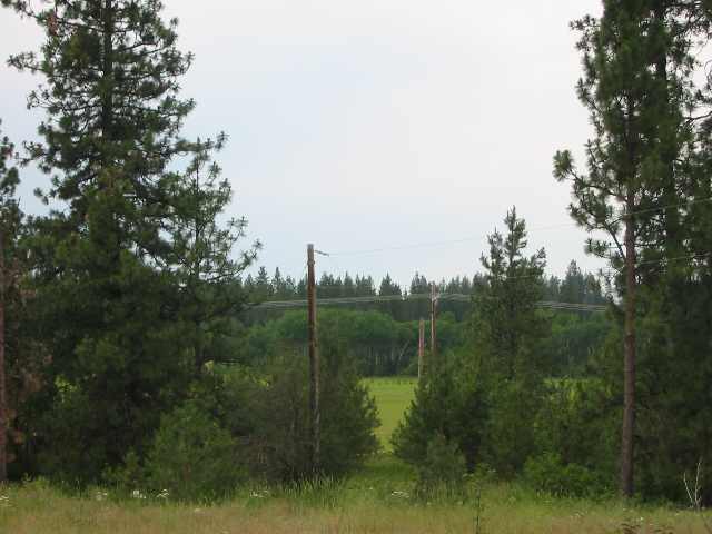 12419 South Keeney Road Spokane, WA 99224 - Photo 7 of 8