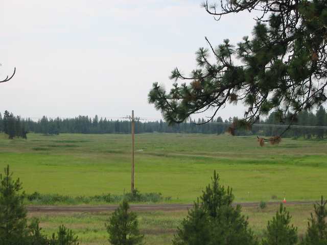 12419 South Keeney Road Spokane, WA 99224 - Photo 8 of 8