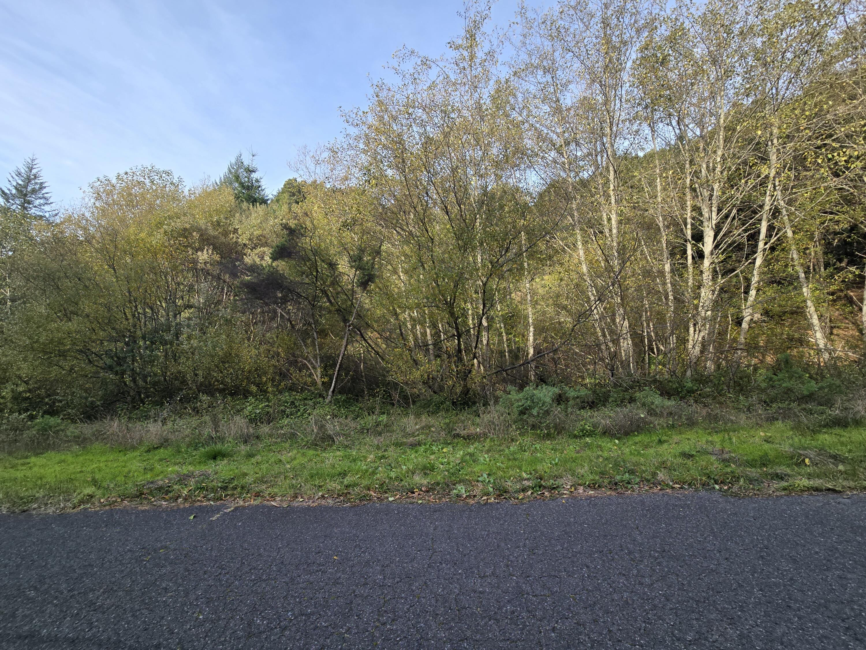 000 Wolverine Way Whitethorn, CA 95589 - Photo 3 of 9 20251203_100027
