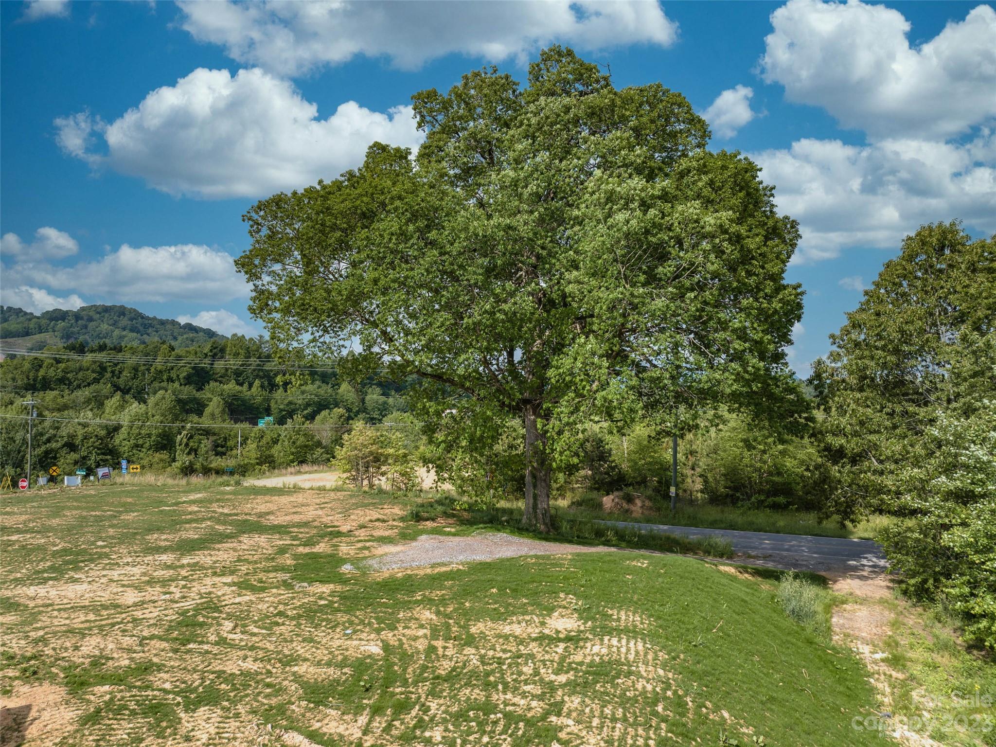 35 Lee Road Clyde, NC 28721 - Photo 5 of 15 a view of a garden