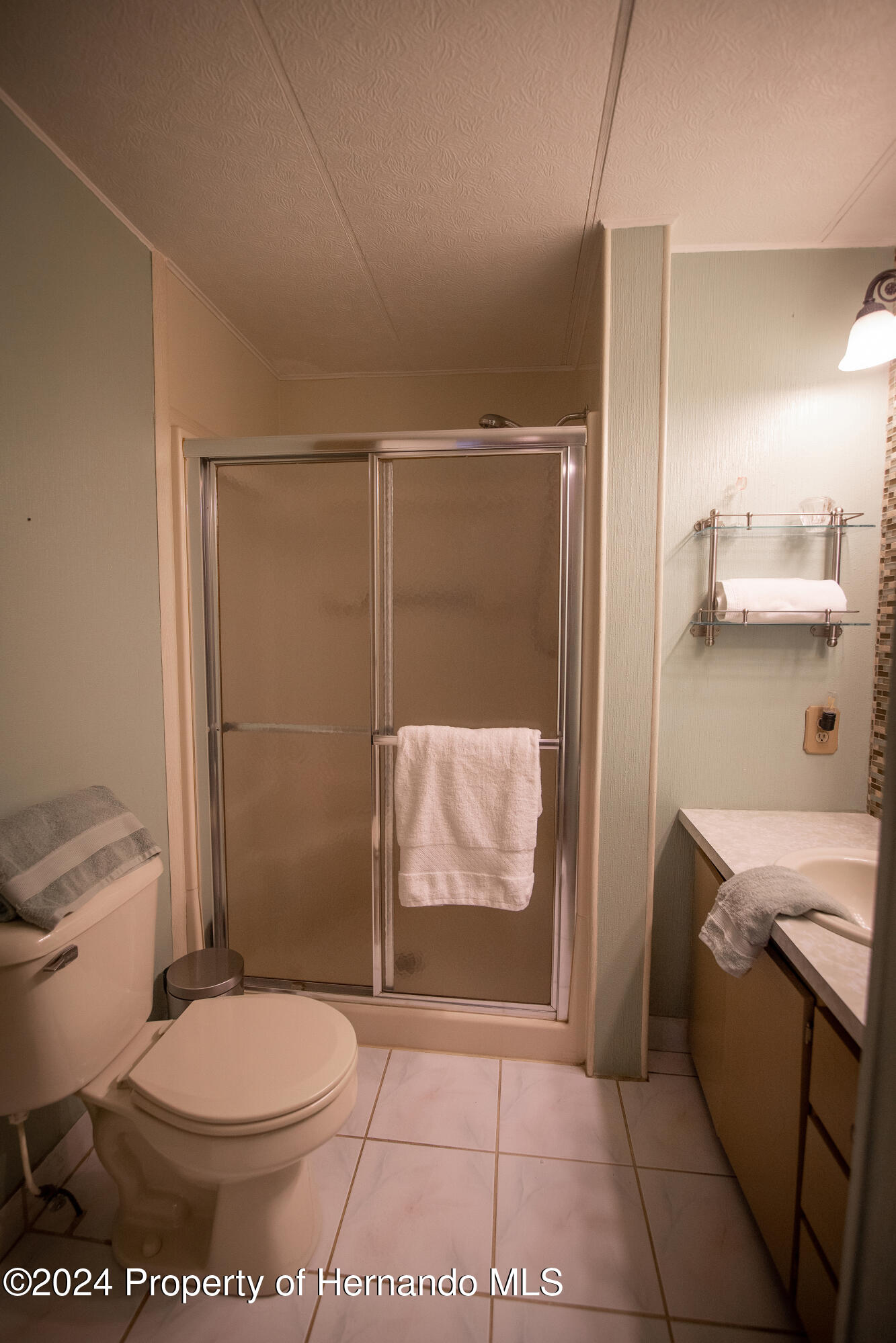 7526 Highpoint Boulevard Brooksville, FL 34613 - Photo 16 of 30 a bathroom with a toilet and a shower