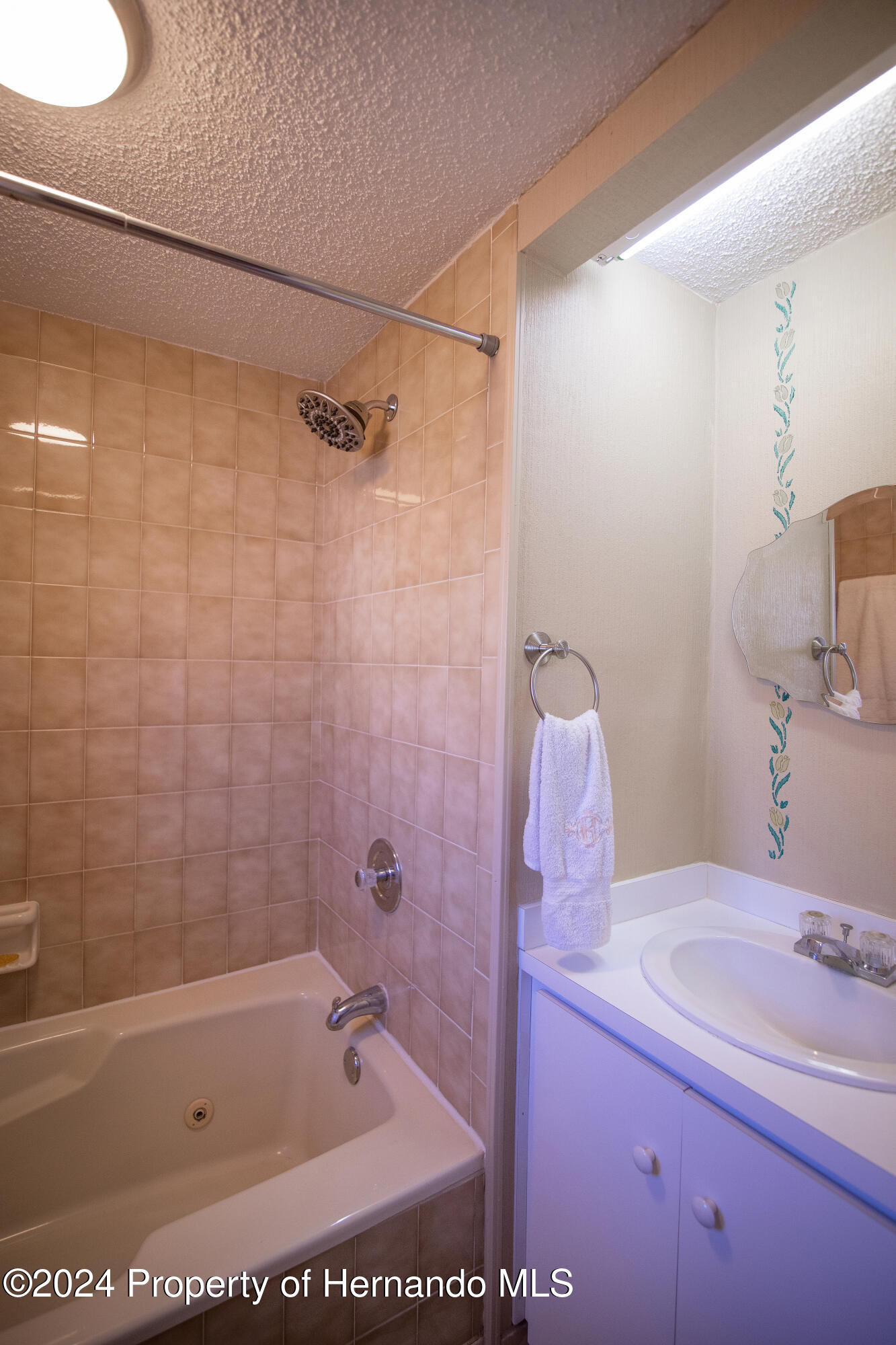 7526 Highpoint Boulevard Brooksville, FL 34613 - Photo 18 of 30 a bathroom with a shower curtain and a sink