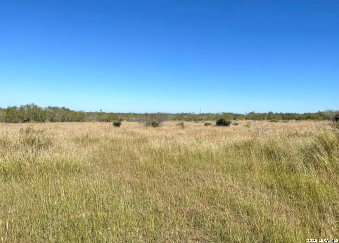 3968 Bluntzer Road Jourdanton, TX 78026 - Photo 20 of 39