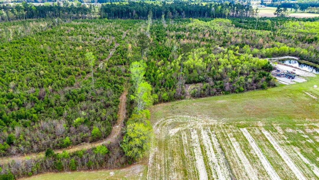 Tbd Jordan Road Galivants Ferry, SC 29544 - Photo 4 of 11