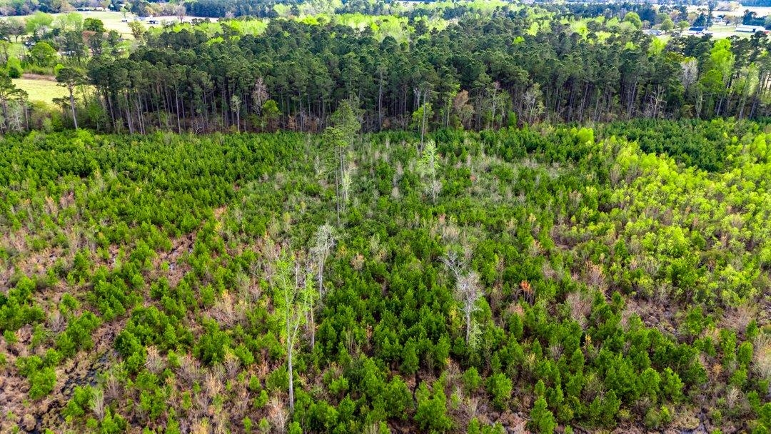Tbd Jordan Road Galivants Ferry, SC 29544 - Photo 7 of 11