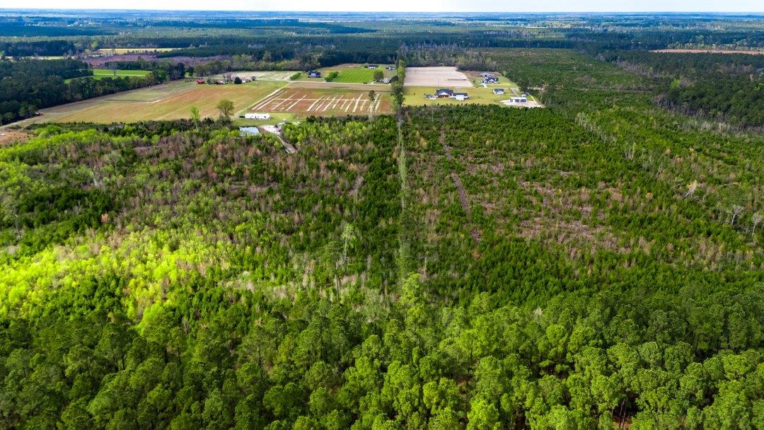 Tbd Jordan Road Galivants Ferry, SC 29544 - Photo 10 of 11