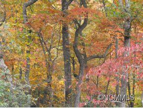 228 Vehorn Road Fairview, NC 28730 - Photo 18 of 20 Gallery Image 18
