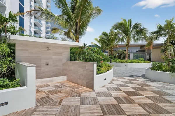 a view of a yard and a palm tree