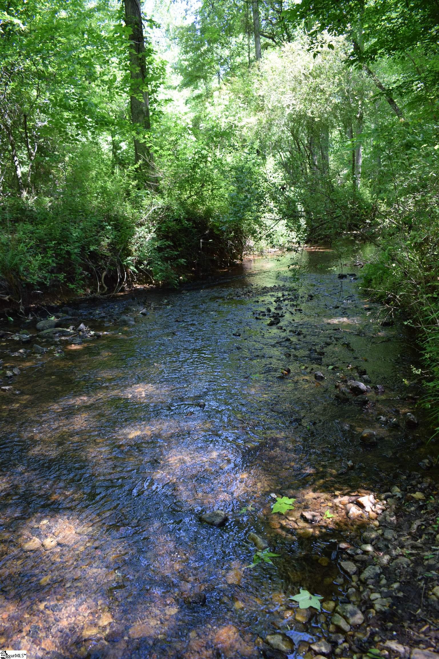 Floyd Blackwell Road Tryon, NC 28782 - Photo 24 of 27