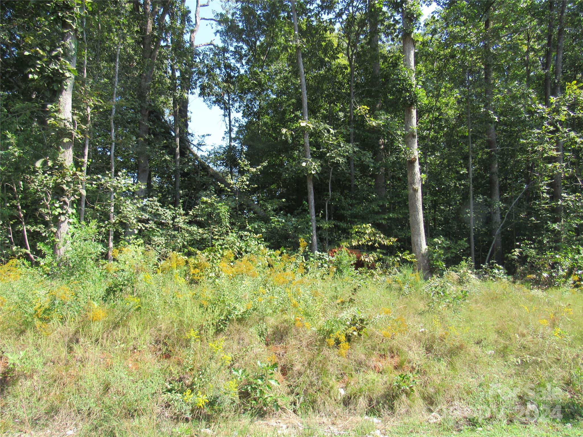 0 Youngs Drive Rutherfordton, NC 28139 - Photo 2 of 3 Gallery Image 2