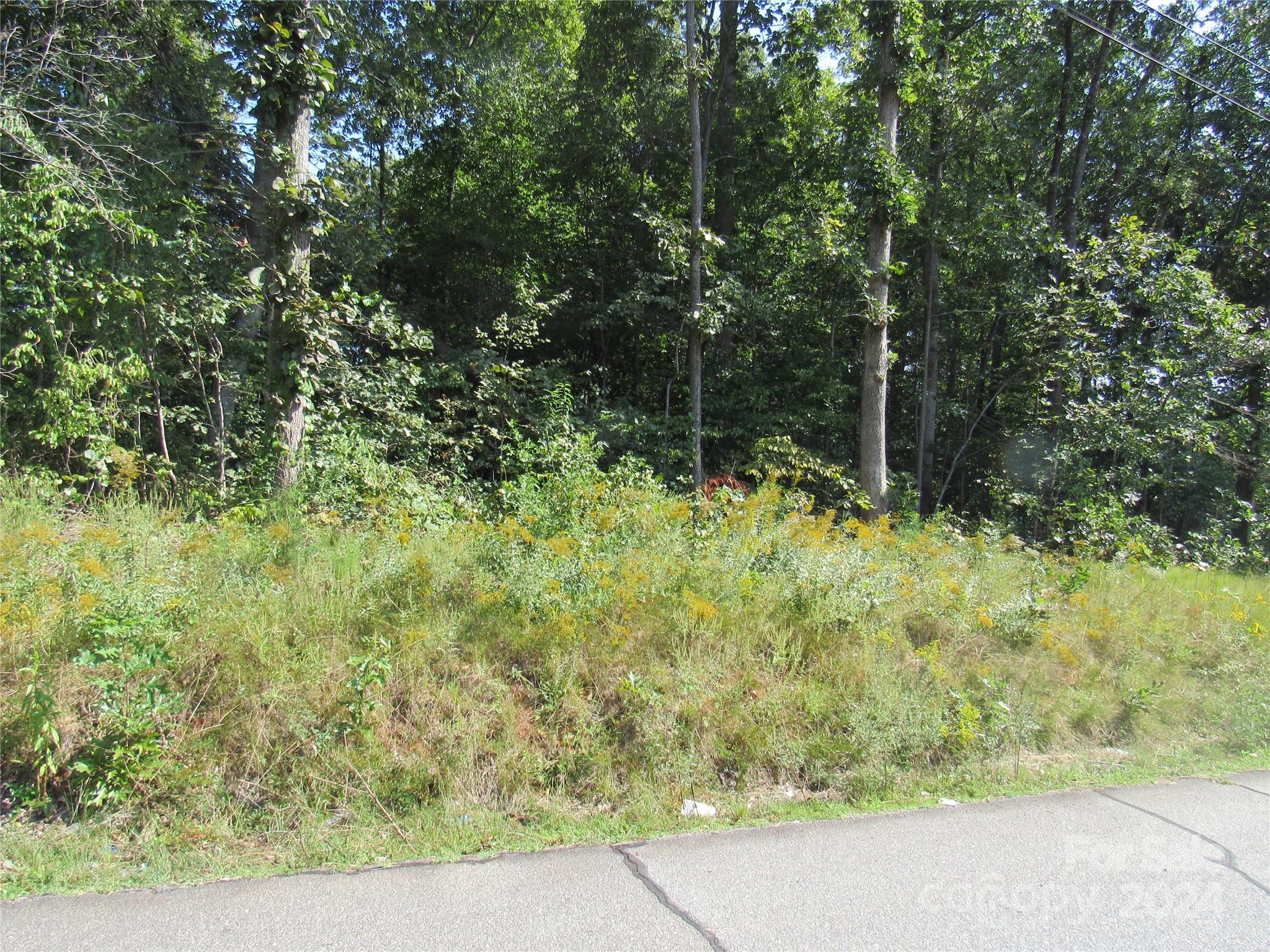 0 Youngs Drive Rutherfordton, NC 28139 - Photo 3 of 3 Gallery Image 3