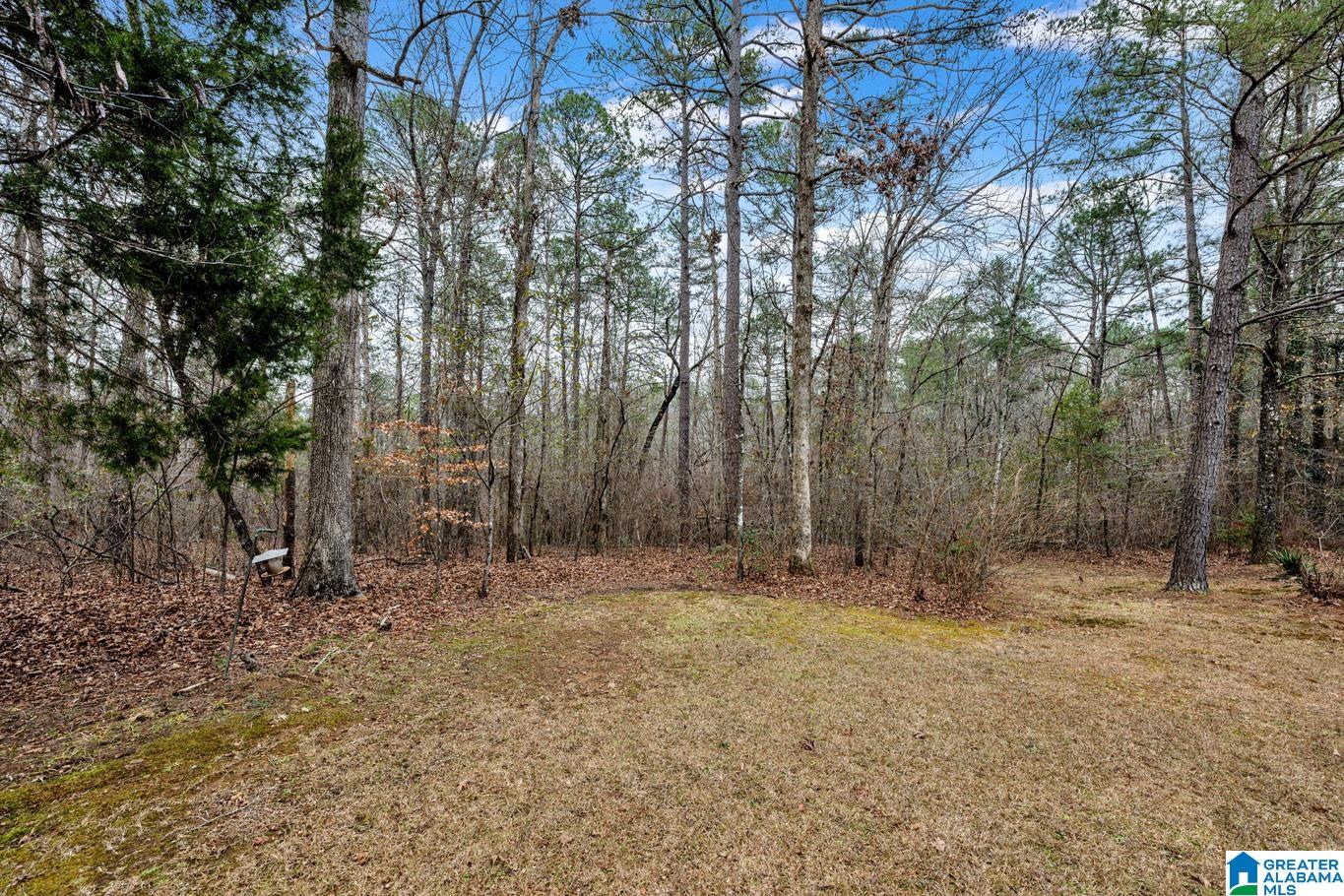 1702 Ridge Drive Jasper, AL 35504 - Photo 32 of 37