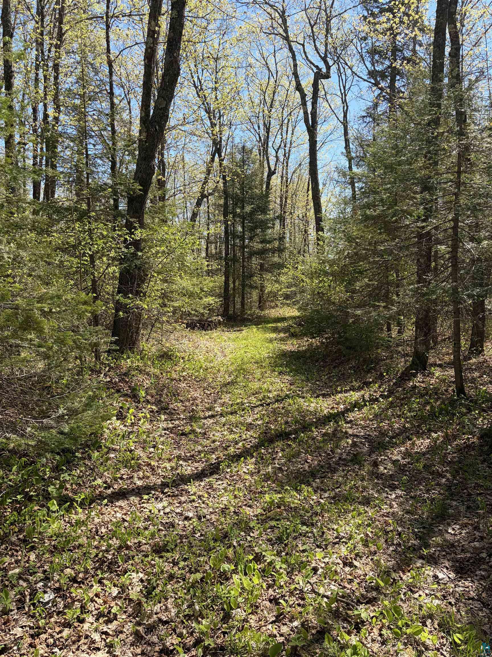 4715 Heffelfinger Road Finland, MN 55603 - Photo 25 of 31
