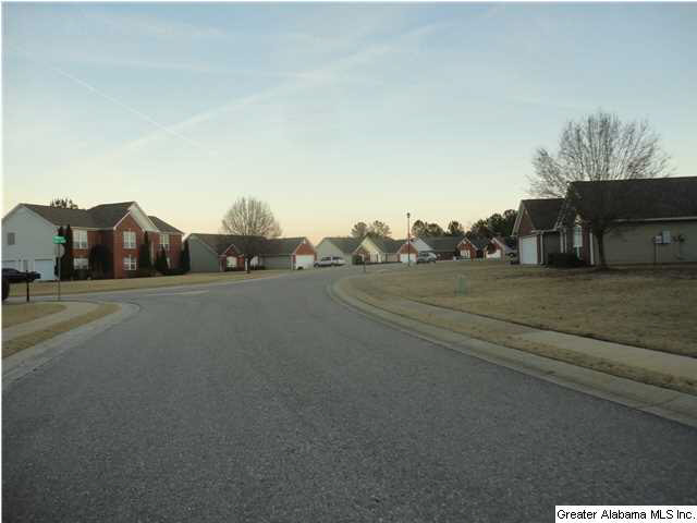 149 Pebble Drive Alabaster, AL 35007 - Photo 29 of 30