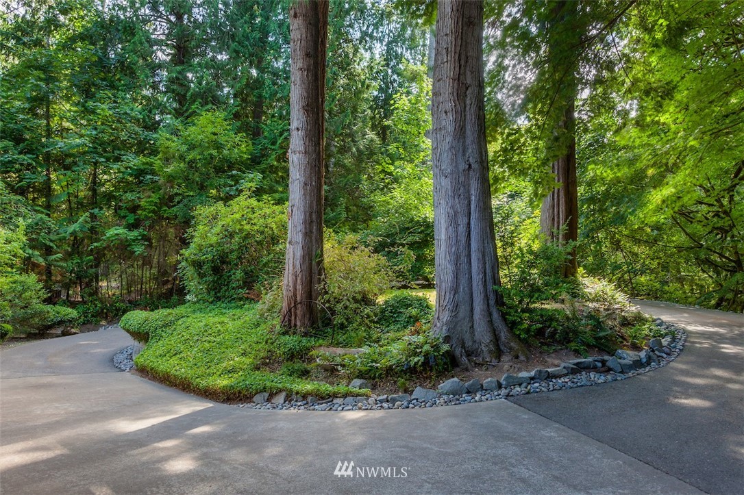 2086 East Grapeview Loop Road Grapeview, WA 98546 - Photo 24 of 25 Gallery Image 24