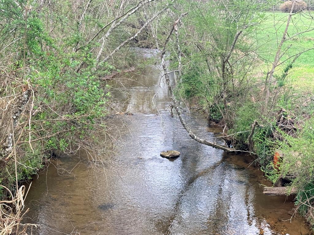 742 Beaver Run Road Blairsville, GA 30512 - Photo 22 of 22