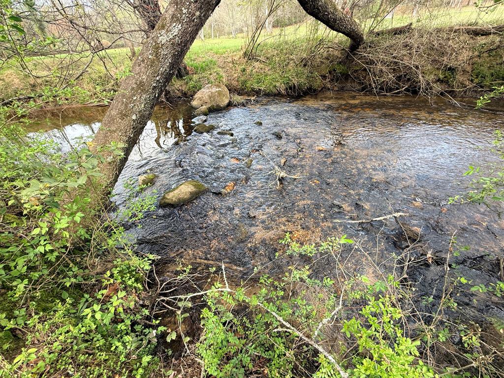 742 Beaver Run Road Blairsville, GA 30512 - Photo 3 of 22