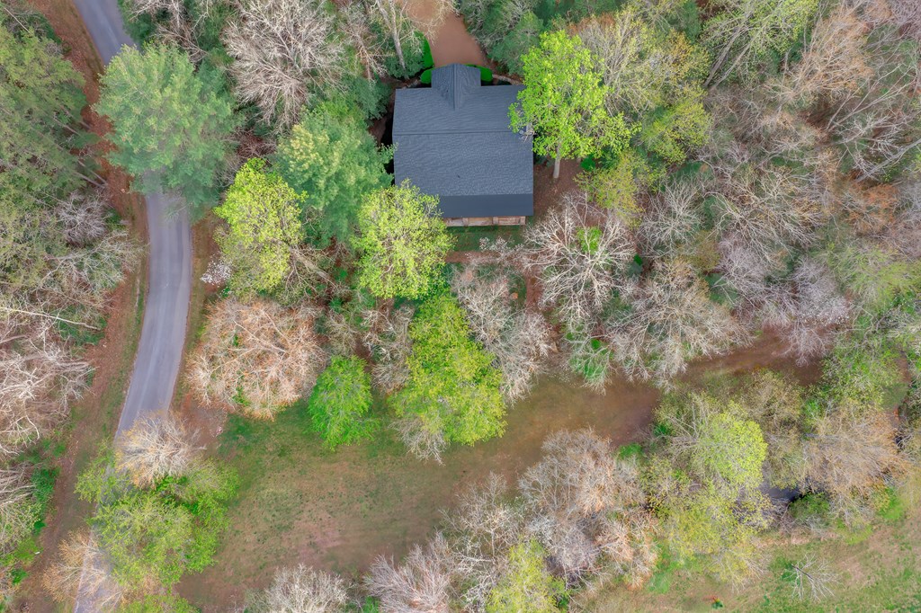 742 Beaver Run Road Blairsville, GA 30512 - Photo 40 of 43