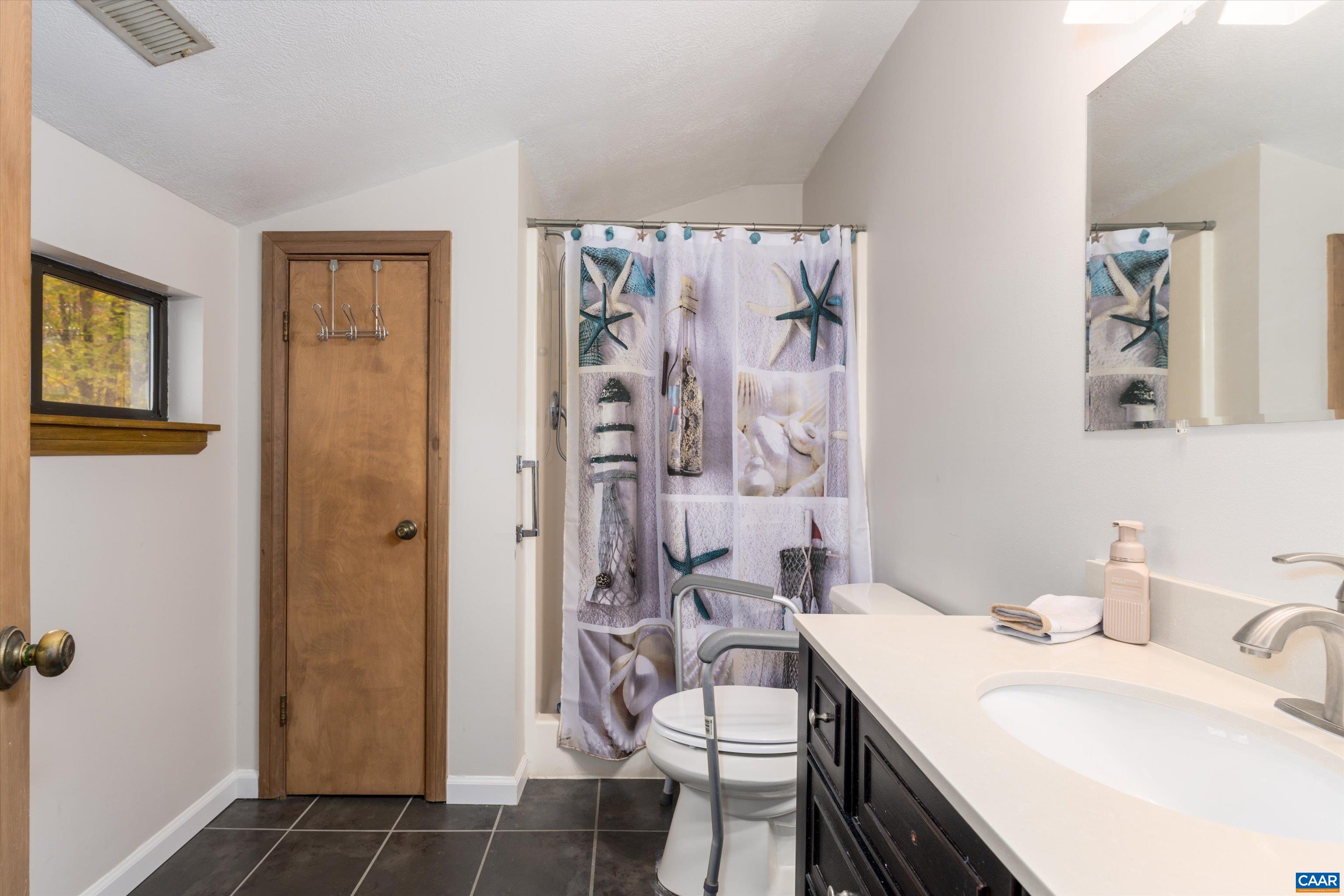 41 Dogleg Road Palmyra, VA 22963 - Photo 33 of 47 a bathroom with a sink a toilet and shower