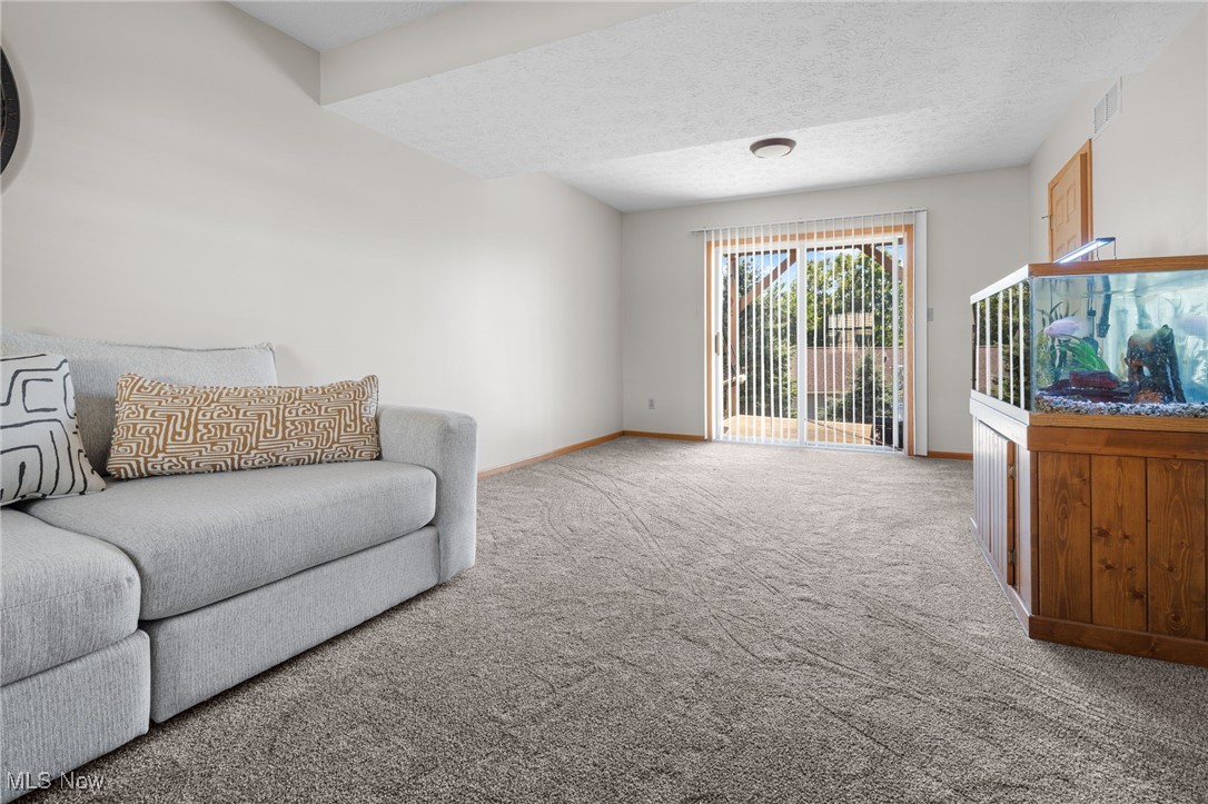 64 River Ridge Lane Munroe Falls, OH 44262 - Photo 20 of 25 Living room with a textured ceiling and light colored carpet
