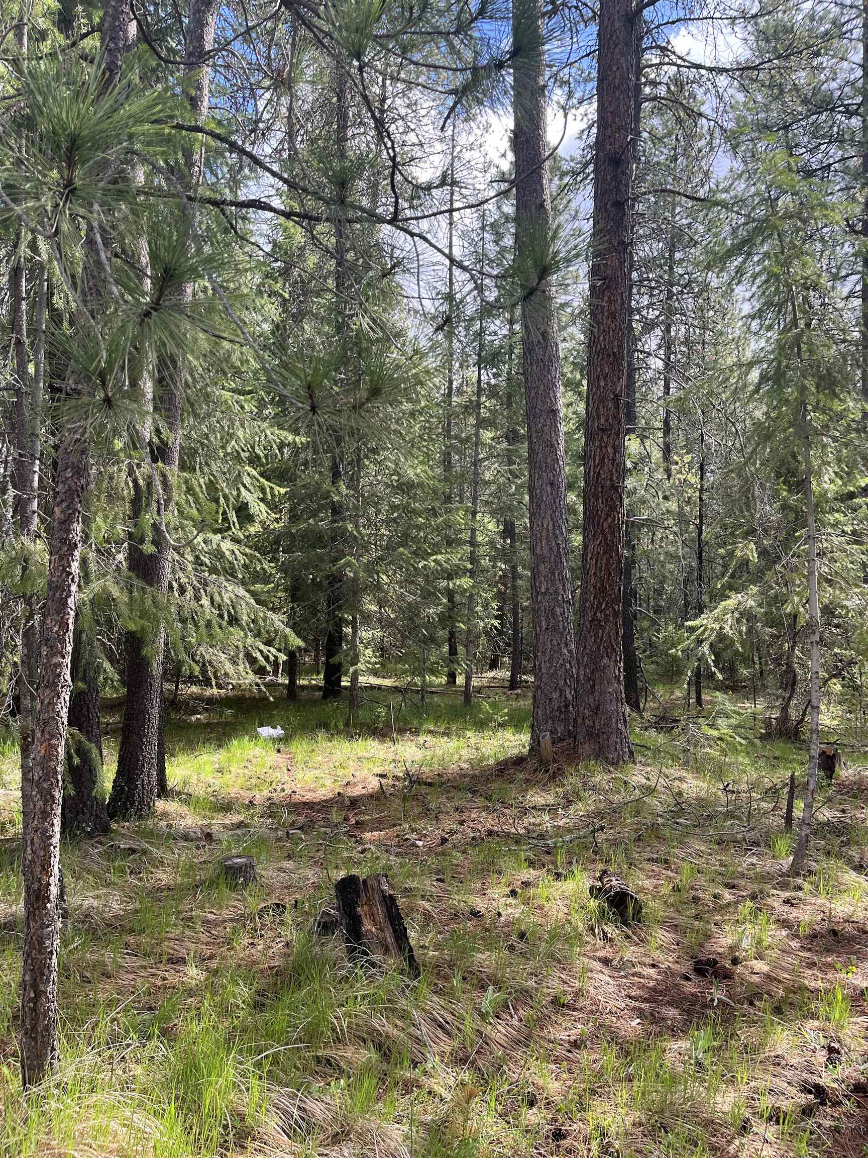 3858 C Agar Road Loon Lake, WA 99148 - Photo 11 of 37