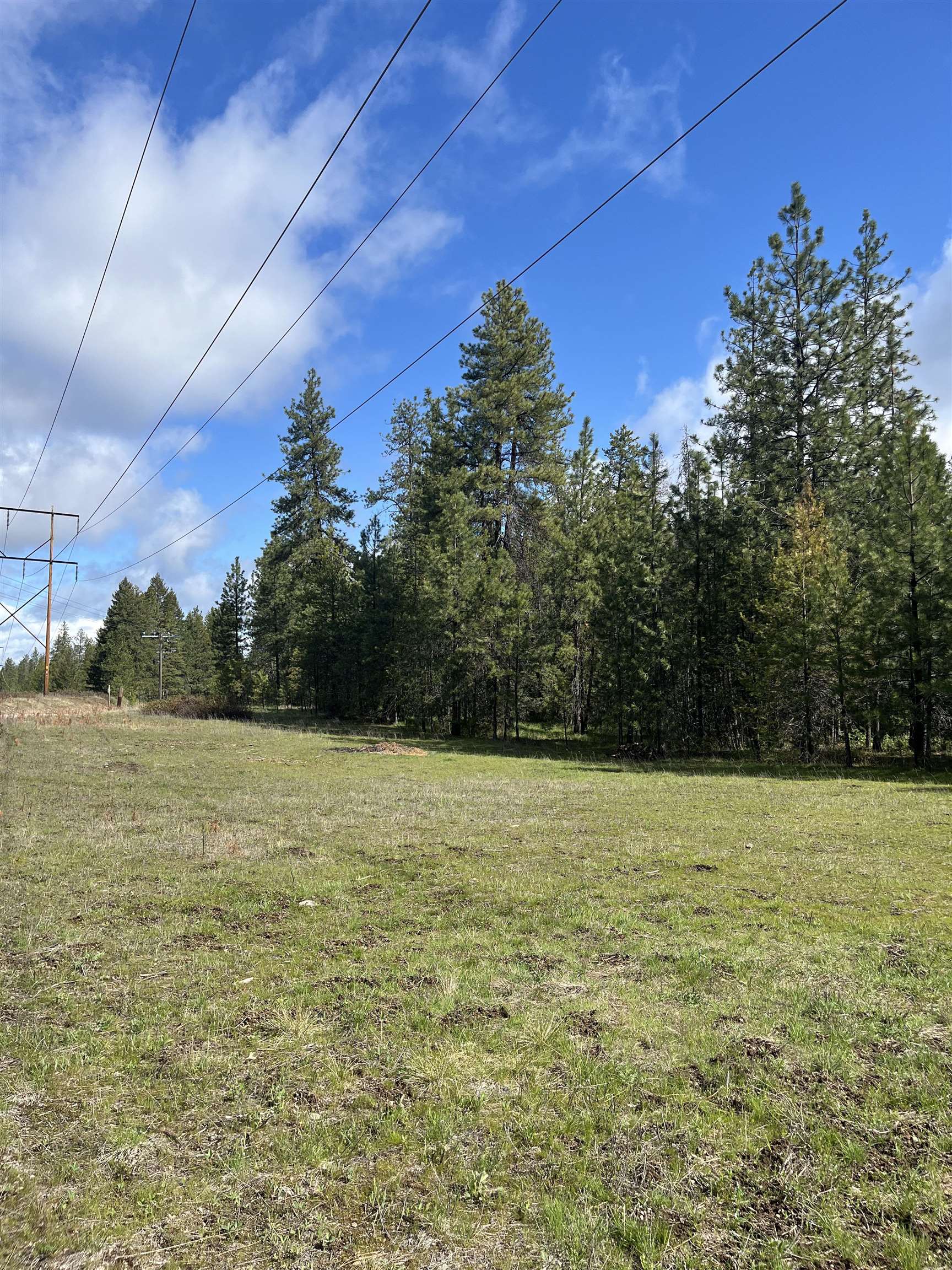 3858 C Agar Road Loon Lake, WA 99148 - Photo 3 of 37