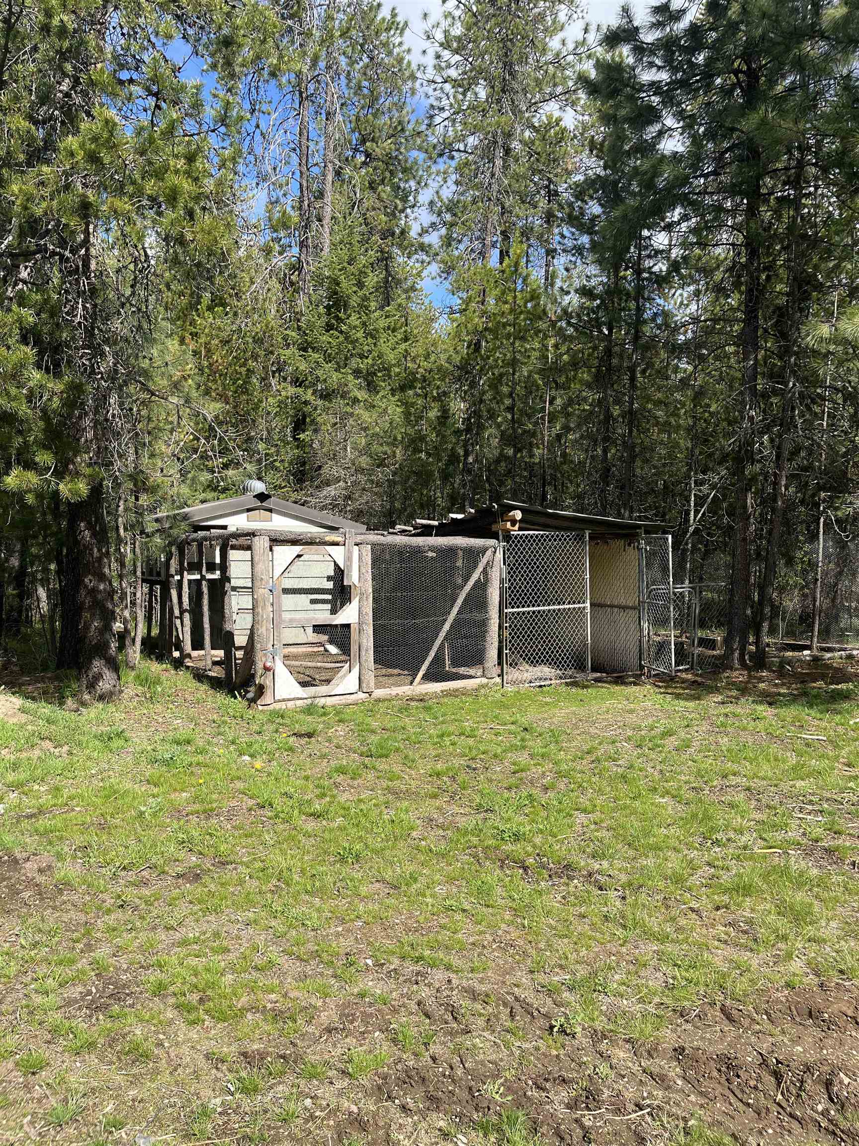 3858 C Agar Road Loon Lake, WA 99148 - Photo 6 of 37