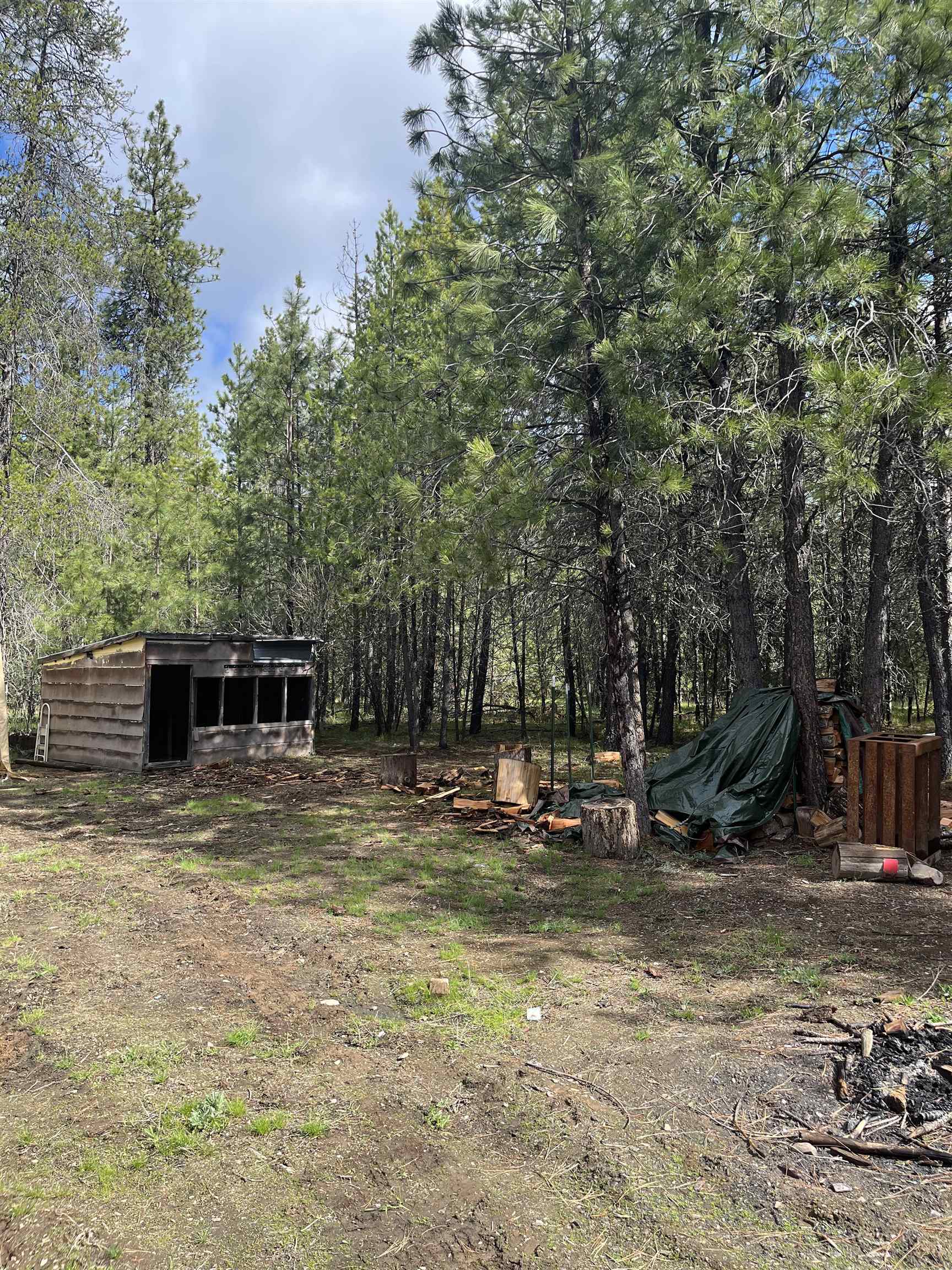 3858 C Agar Road Loon Lake, WA 99148 - Photo 8 of 37