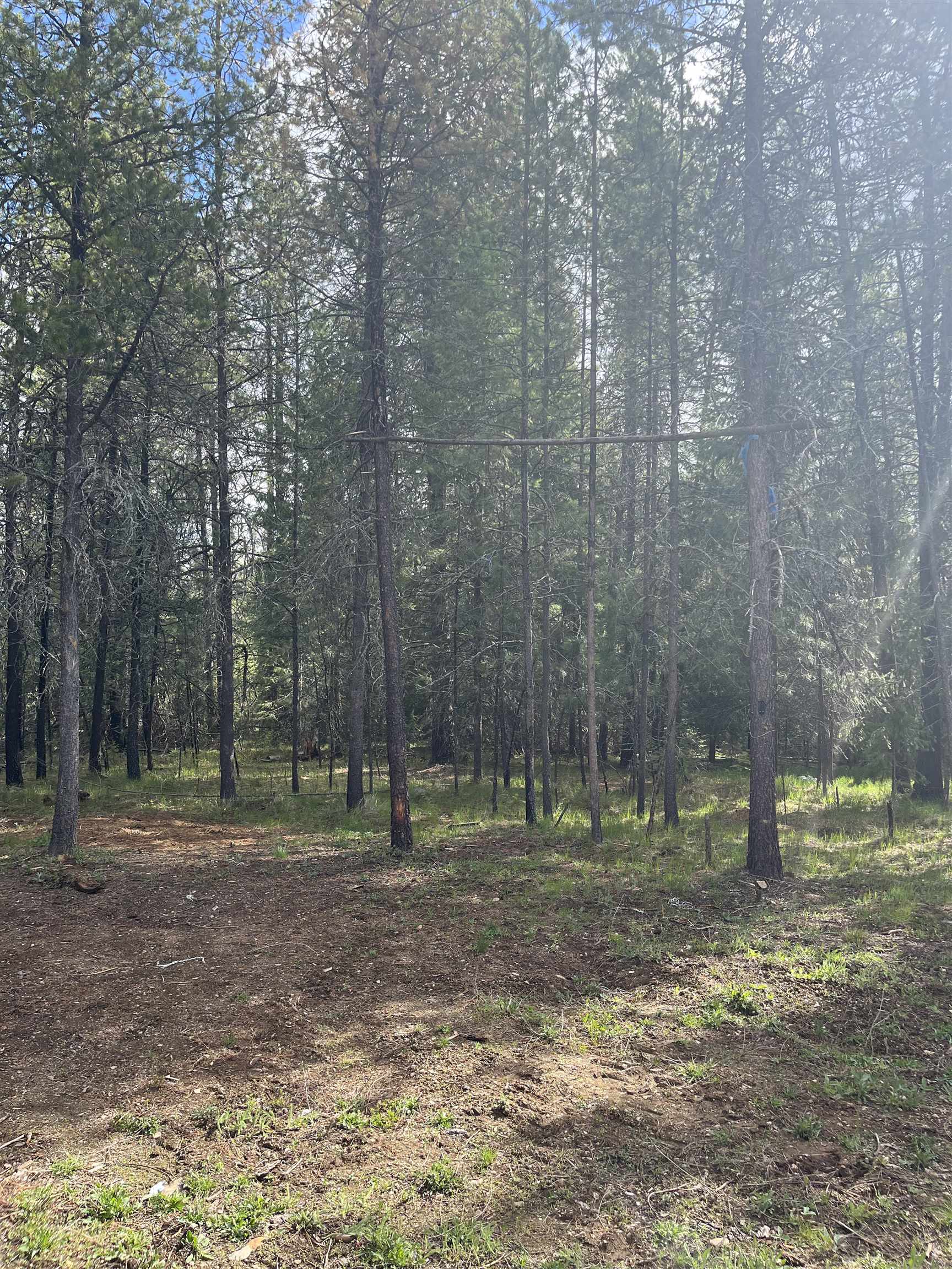 3858 C Agar Road Loon Lake, WA 99148 - Photo 9 of 37