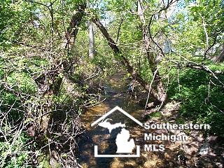 165 East Erie Road Temperance, MI 48182 - Photo 13 of 19 1ST FLOWING CREEK