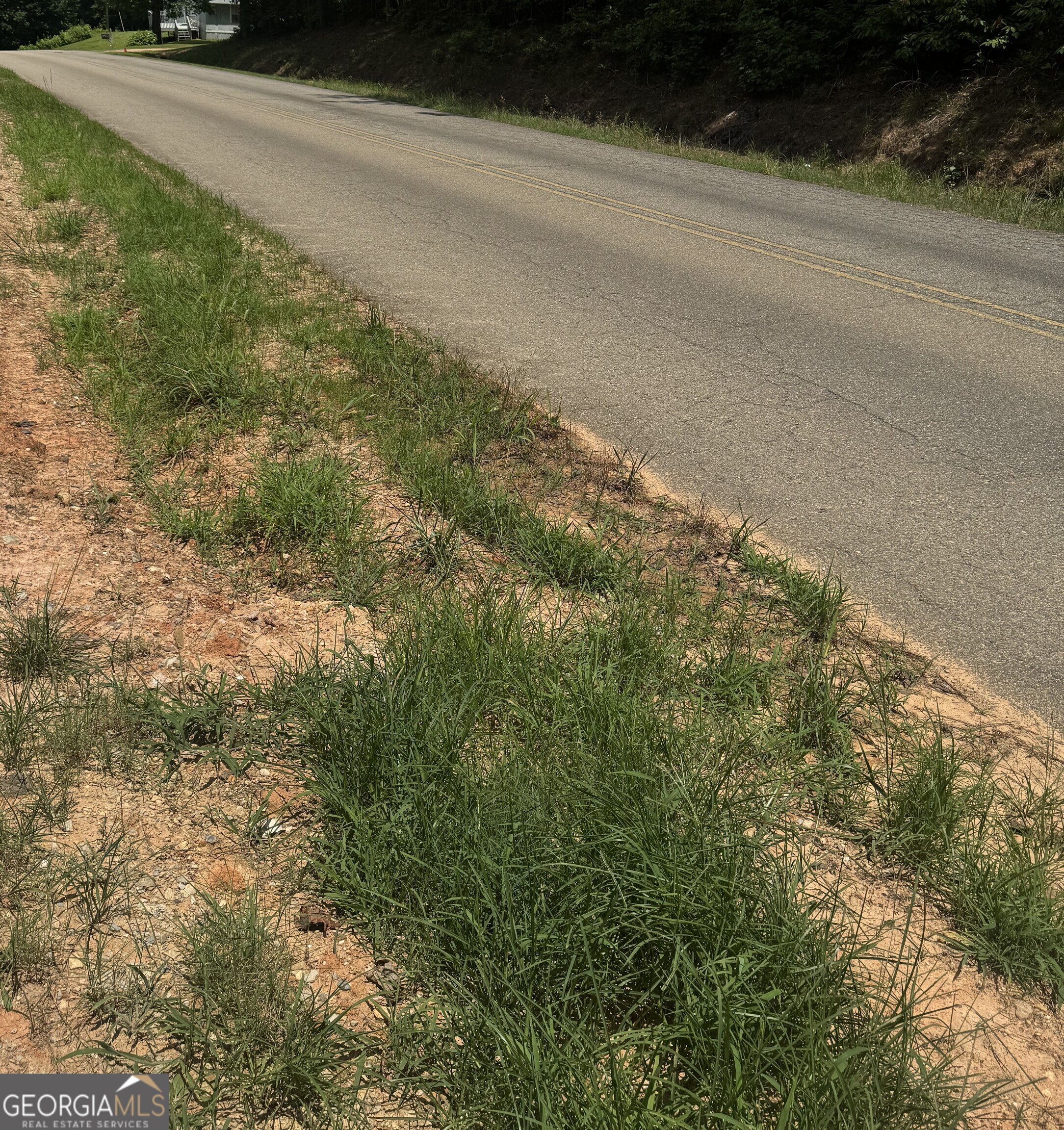 0 Co Rd 61 Fruithurst, AL 36262 - Photo 6 of 6