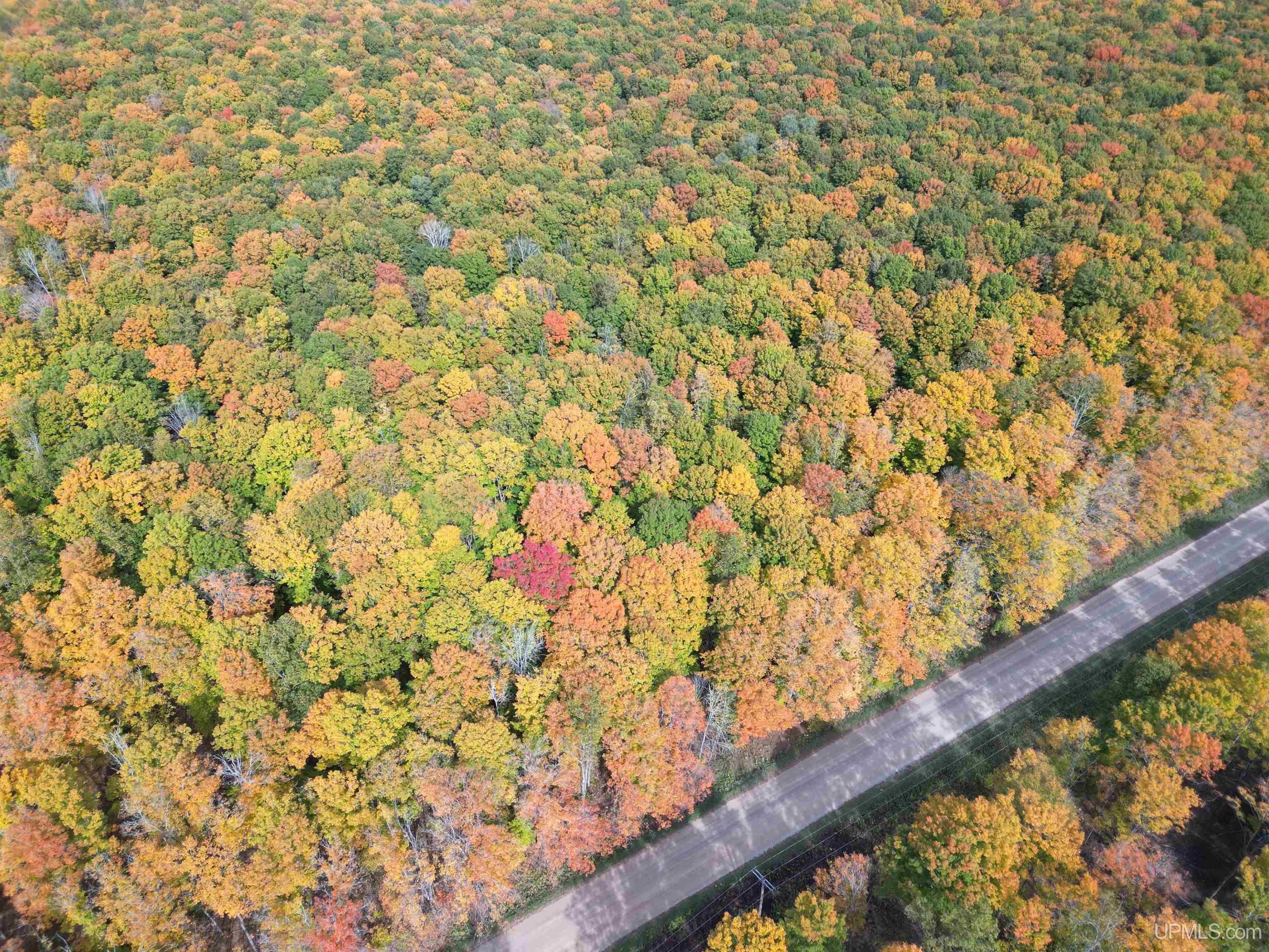 Tbd Tbd 26th Road Gladstone, MI 49837 - Photo 8 of 13