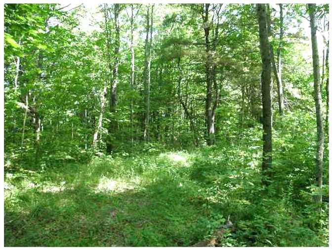 0 Cross Road Edgecomb, ME 04556 - Photo 3 of 4 Land.