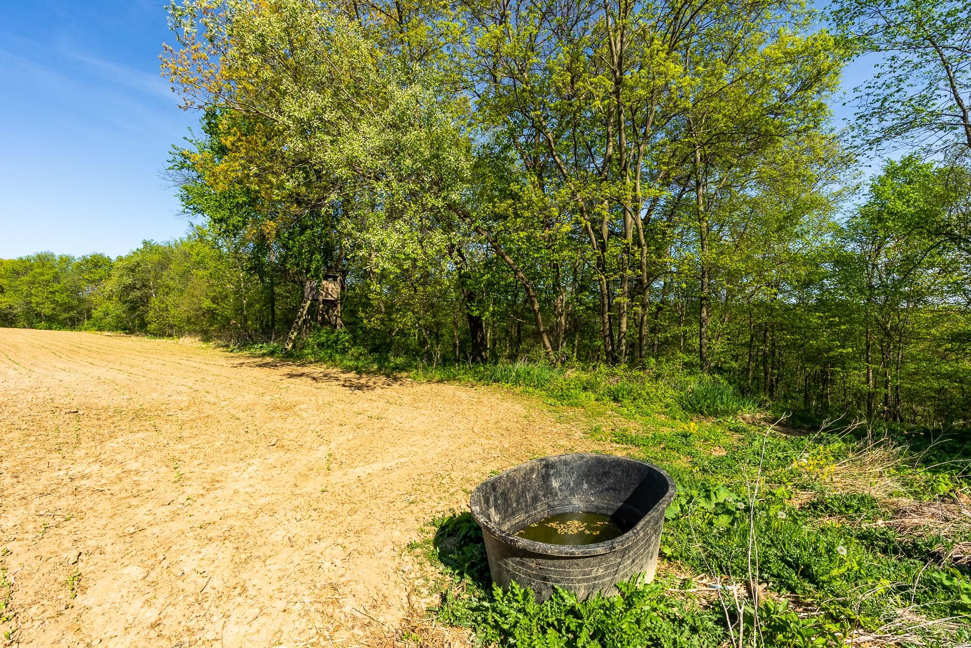 15999 Biba Road Muscoda, WI 53573 - Photo 59 of 103 Grant-County-WI-160-Acres-Land-For-Sale-