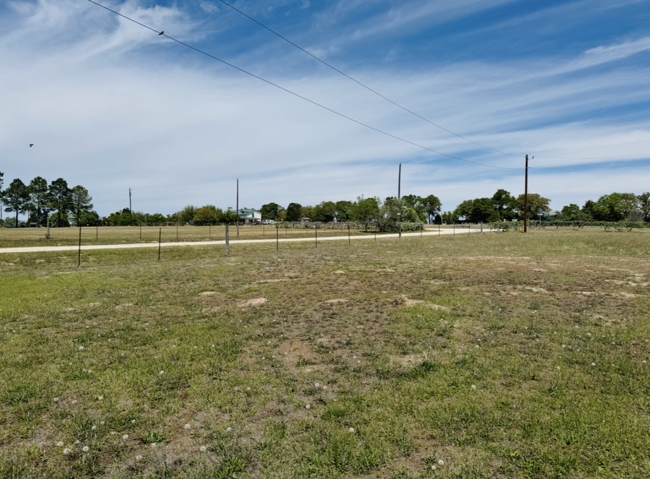1094 Raintree Lane Elgin, TX 78621 - Photo 34 of 36 Street View