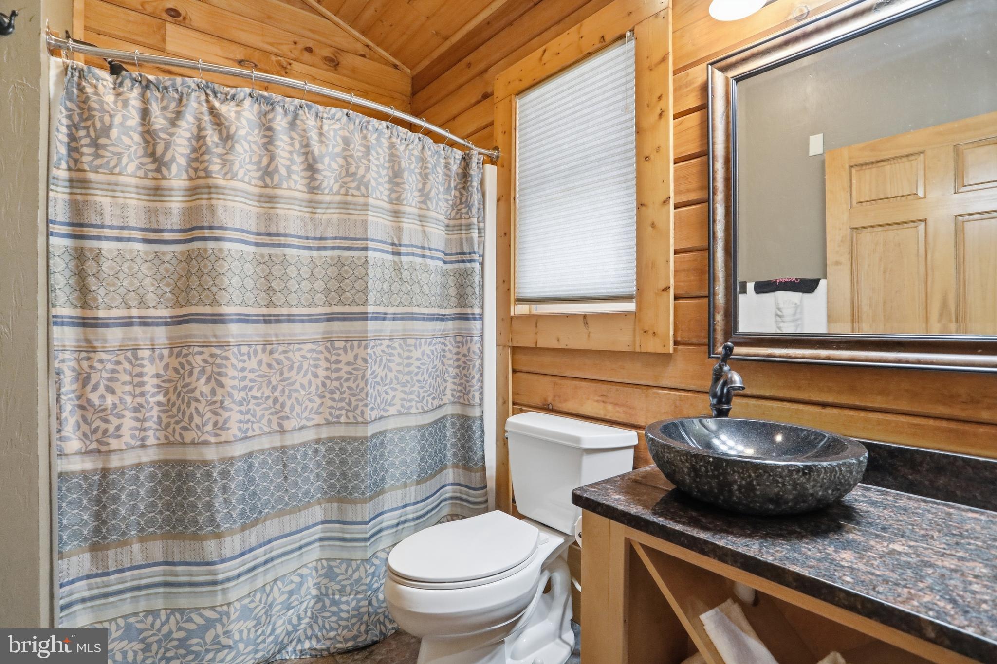 299 Cabin Lodge Road McHenry, MD 21541 - Photo 4 of 12