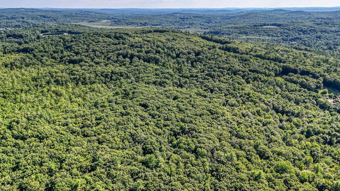 Lot 29 North Grey Road Greene, ME 04236 - Photo 15 of 21 20240731131010582078000000-o